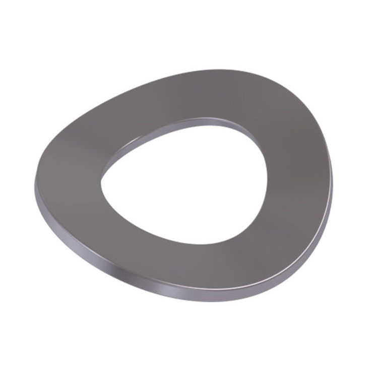 Stainless Steel A2 A4 SS201 SS304 SS316 DIN137 DIN42013 Wave Washers